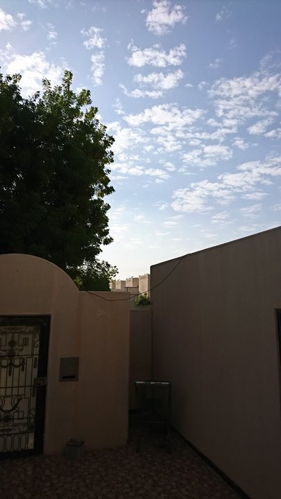 مشاركاتي في أنت الراصد