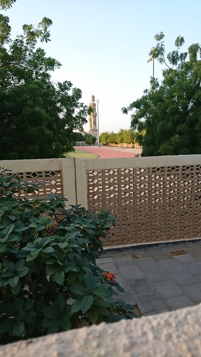 مشاركاتي في أنت الراصد