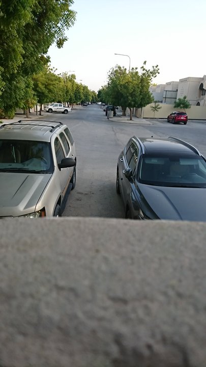 مشاركاتي في أنت الراصد