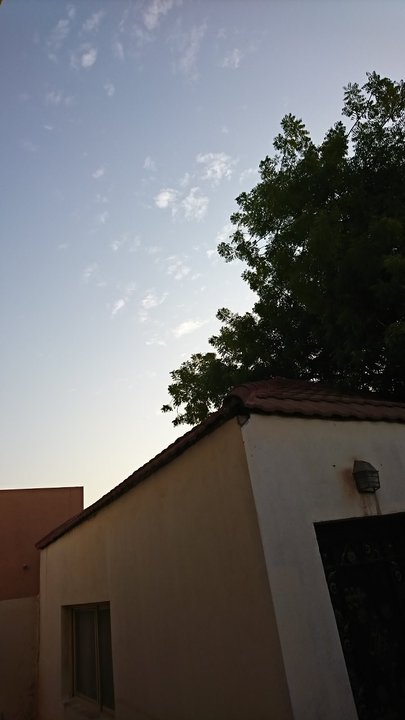 مشاركاتي في أنت الراصد