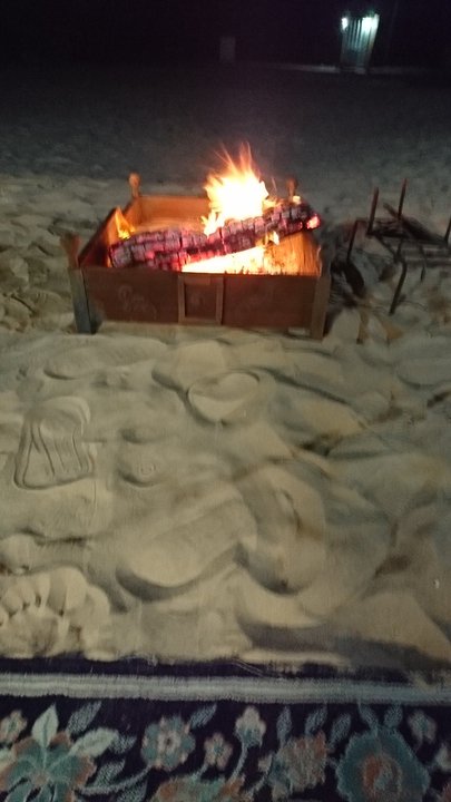 مشاركاتي في أنت الراصد