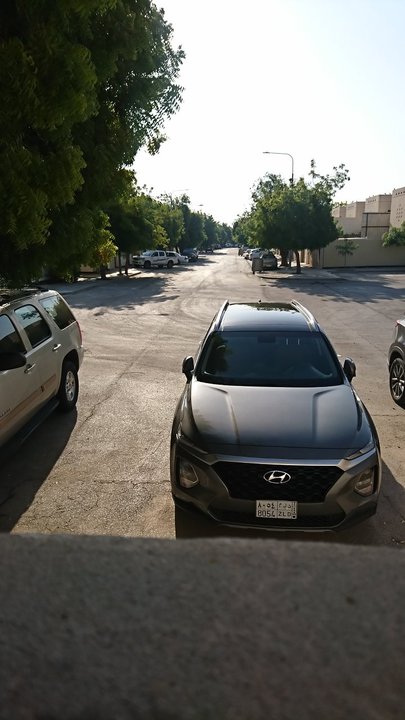 مشاركاتي في أنت الراصد