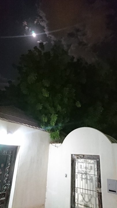 مشاركاتي في أنت الراصد