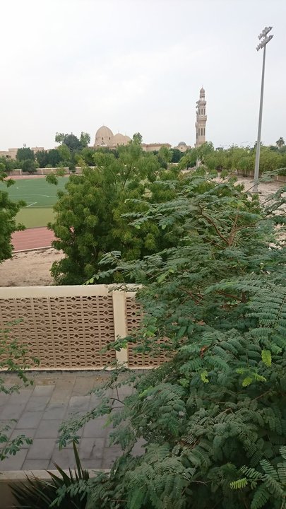 مشاركاتي في أنت الراصد