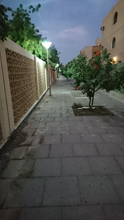 مشاركاتي في أنت الراصد