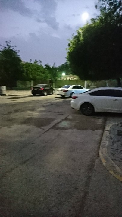 مشاركاتي في أنت الراصد