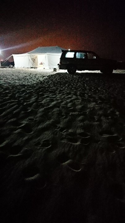 مشاركاتي في أنت الراصد