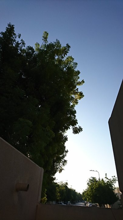 مشاركاتي في أنت الراصد