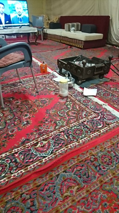 مشاركاتي في أنت الراصد