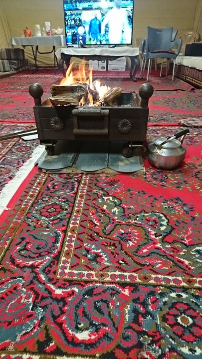 مشاركاتي في أنت الراصد