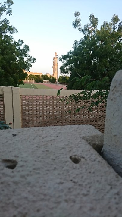 مشاركاتي في أنت الراصد