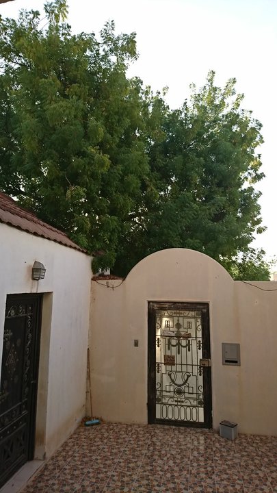 مشاركاتي في أنت الراصد