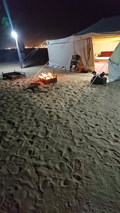 مشاركاتي في أنت الراصد