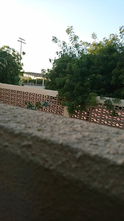 مشاركاتي في أنت الراصد