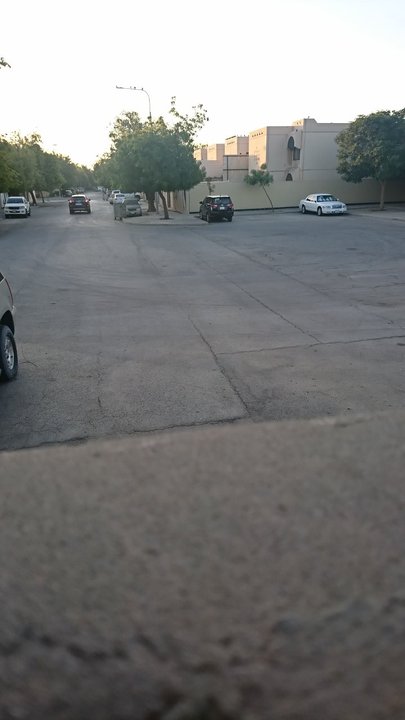 مشاركاتي في أنت الراصد