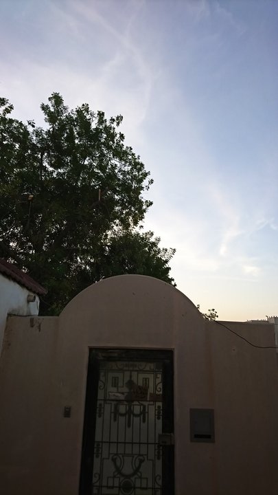 مشاركاتي في أنت الراصد