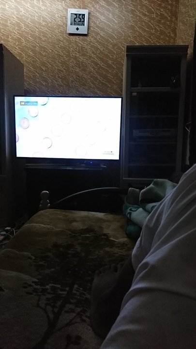 مشاركاتي في أنت الراصد