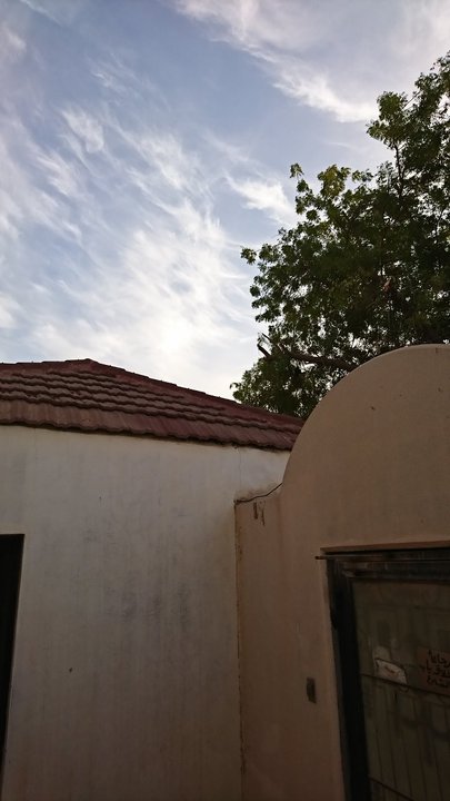 مشاركاتي في أنت الراصد