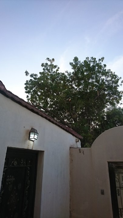 مشاركاتي في أنت الراصد