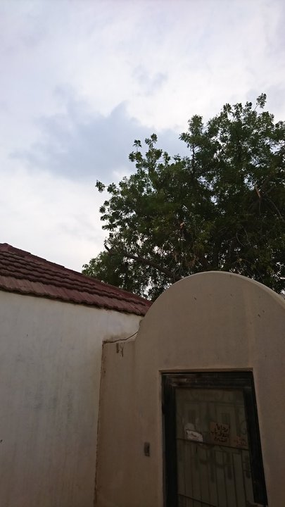 مشاركاتي في أنت الراصد