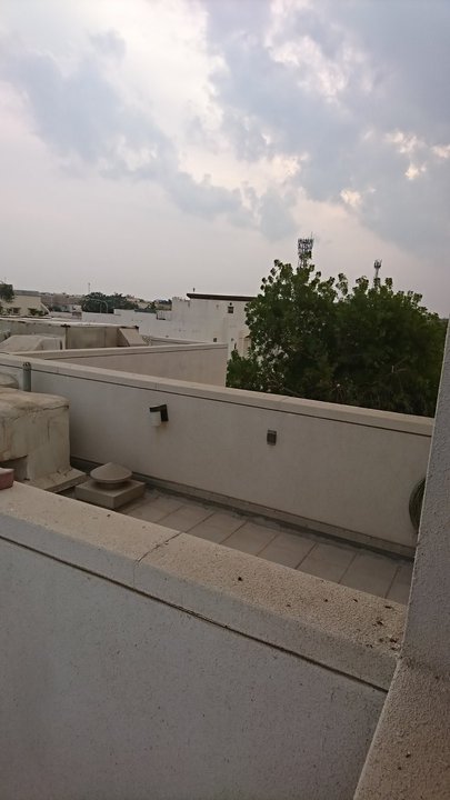 مشاركاتي في أنت الراصد