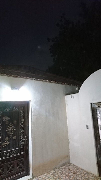 مشاركاتي في أنت الراصد