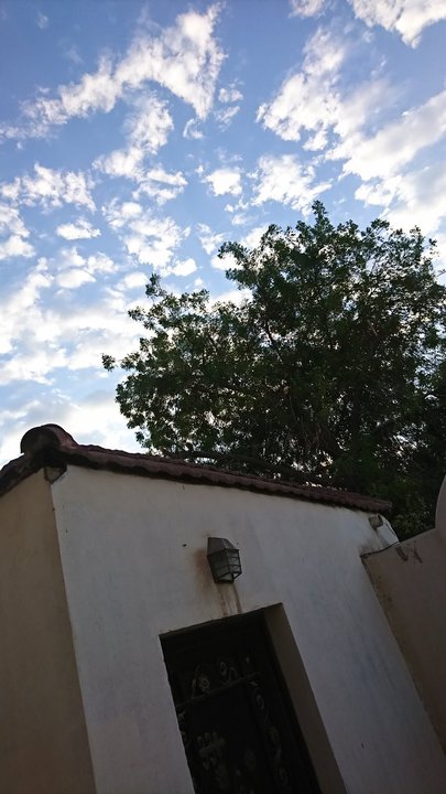 مشاركاتي في أنت الراصد