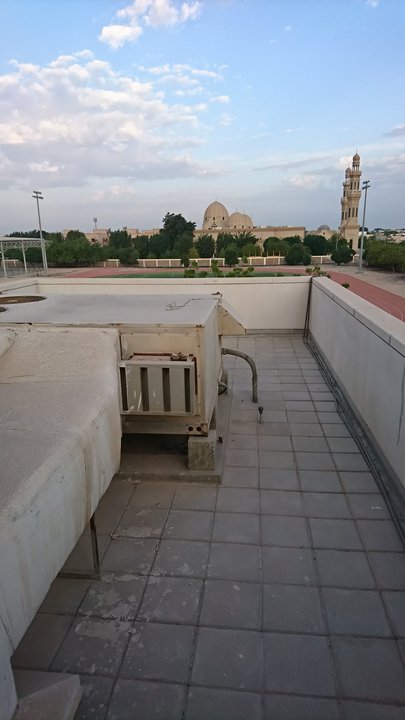 مشاركاتي في أنت الراصد