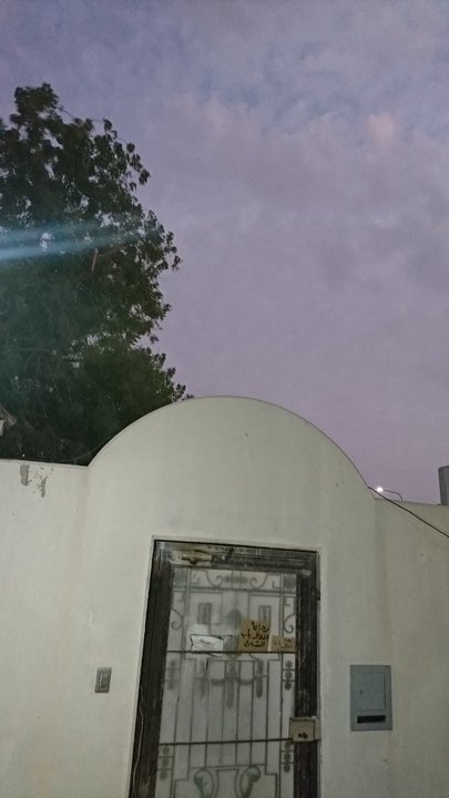 مشاركاتي في أنت الراصد