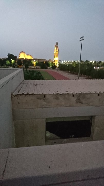 مشاركاتي في أنت الراصد