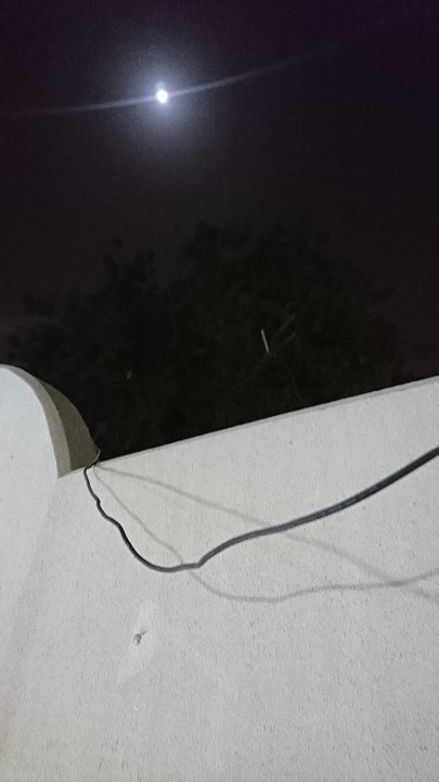 مشاركاتي في أنت الراصد