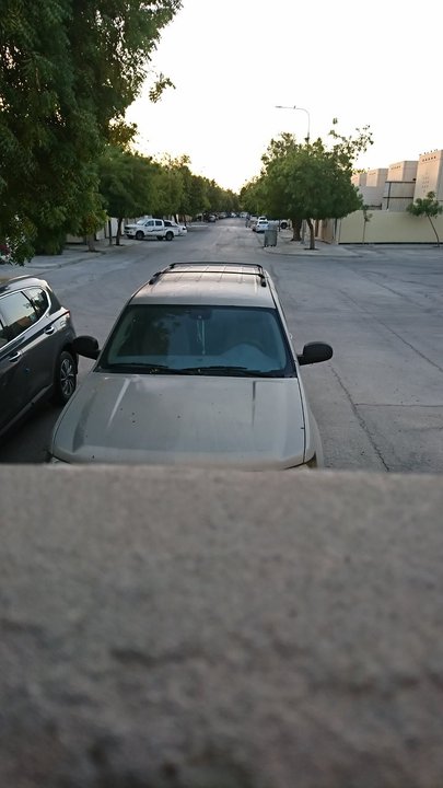 مشاركاتي في أنت الراصد