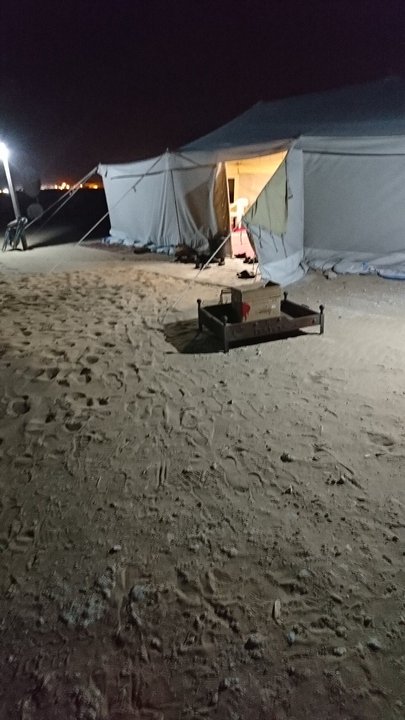 مشاركاتي في أنت الراصد