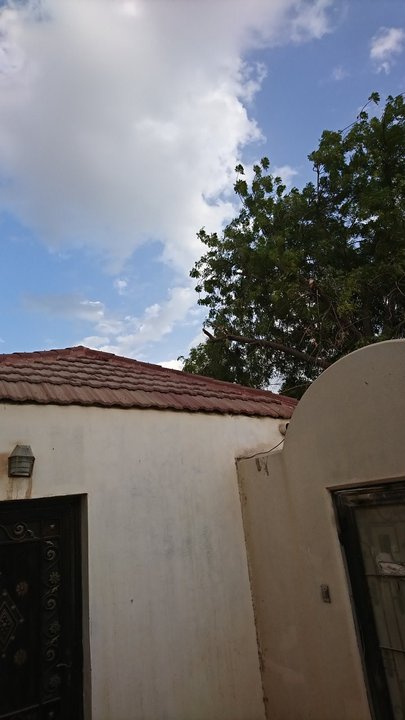 مشاركاتي في أنت الراصد