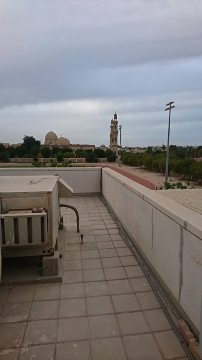 مشاركاتي في أنت الراصد