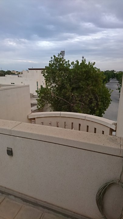 مشاركاتي في أنت الراصد