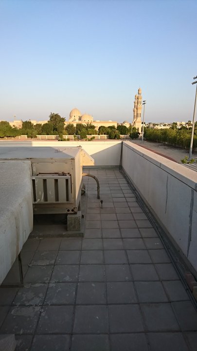 مشاركاتي في أنت الراصد