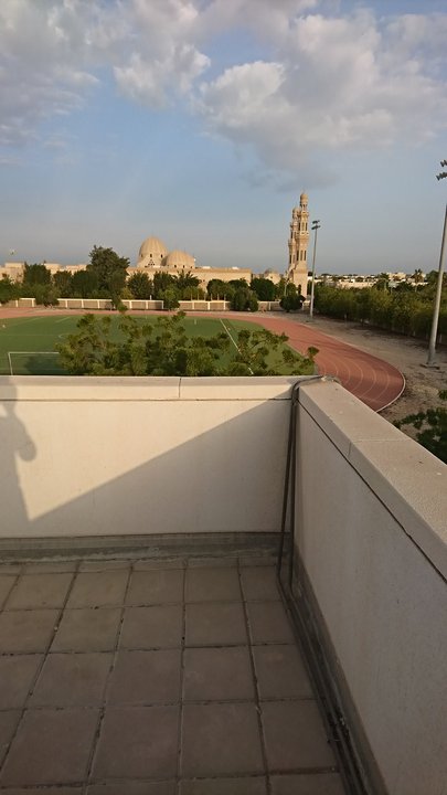 مشاركاتي في أنت الراصد