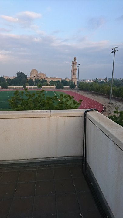 مشاركاتي في أنت الراصد