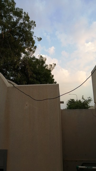 مشاركاتي في أنت الراصد