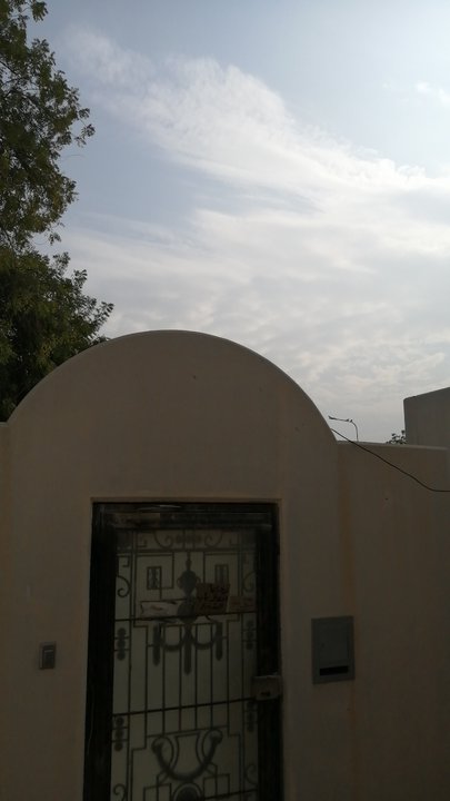 مشاركاتي في أنت الراصد