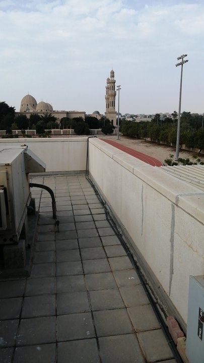 مشاركاتي في أنت الراصد