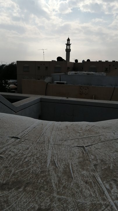 مشاركاتي في أنت الراصد