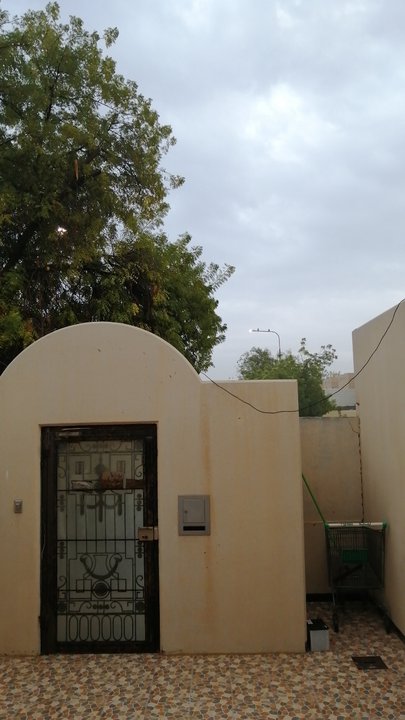 مشاركاتي في أنت الراصد