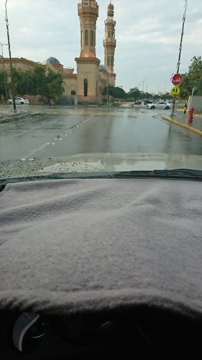 مشاركاتي في أنت الراصد