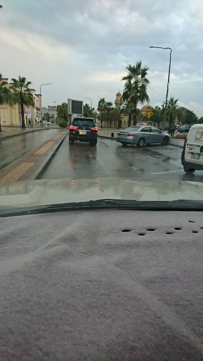 مشاركاتي في أنت الراصد