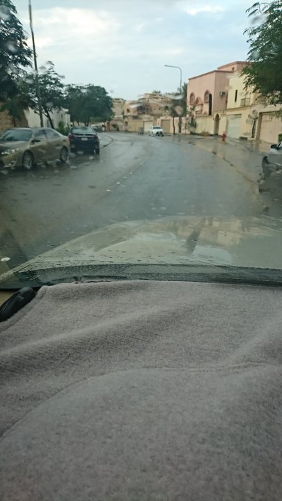 مشاركاتي في أنت الراصد