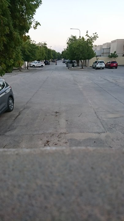 مشاركاتي في أنت الراصد