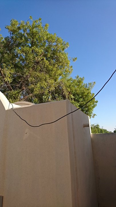 مشاركاتي في أنت الراصد