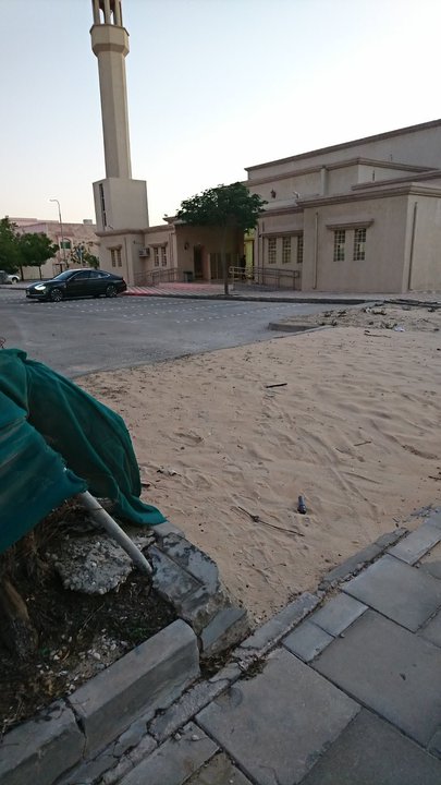 مشاركاتي في أنت الراصد